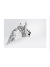 Beyaz At - Art Print